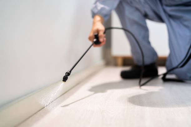 Licensed Termite Control service in Hallowell, ME - Nex Pest Control