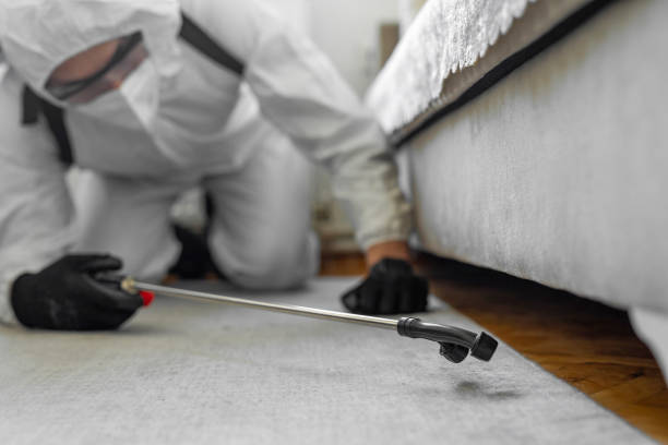 Professional Termite Control technician working in Hallowell, ME