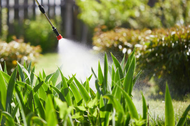24/7 Emergency Termite Control experts in Hallowell, ME