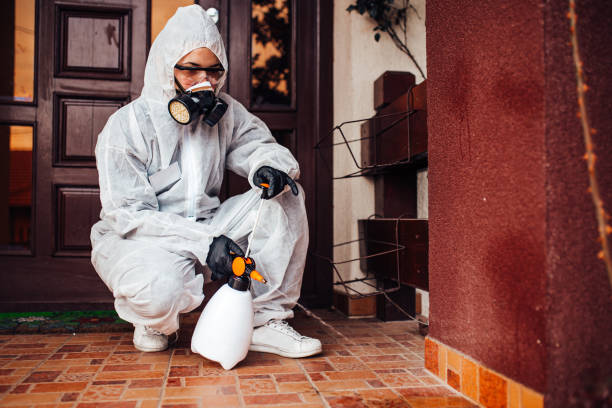 Reliable Termite Control contractor in Hallowell, ME by Nex Pest Control