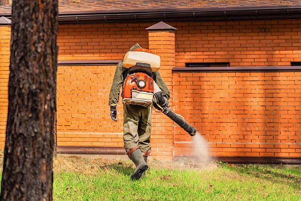 Top rated local Termite Control specialists in Hallowell, ME